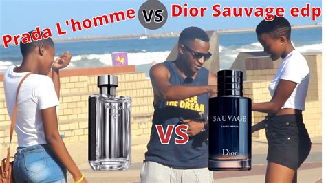 prada l'homme vs sauvage